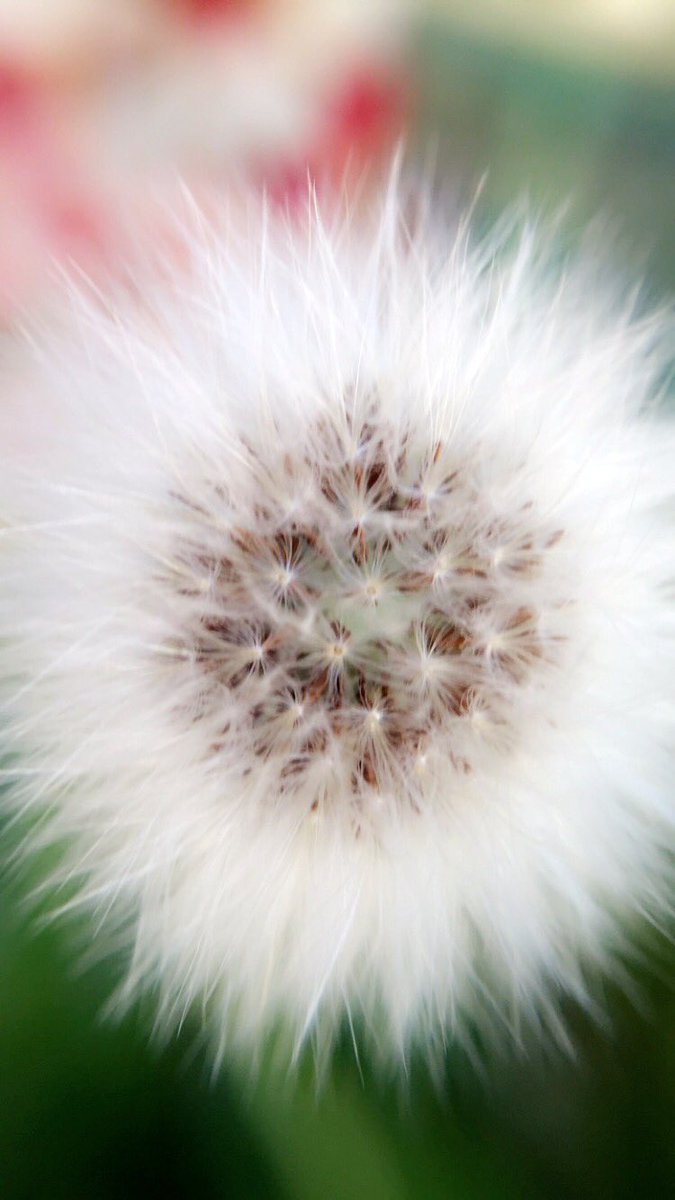 تسنيم💛💭 tweet media