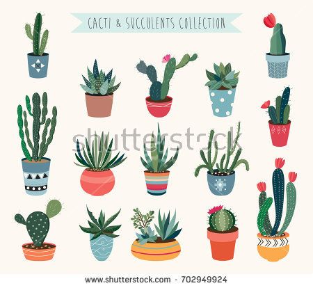 liliartdeco's tweet image. Cacti and succulents vector collection buff.ly/2qlgHsS
