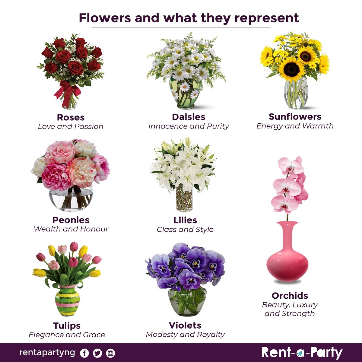 rentapartyng's tweet photo. #Flowers add a beautiful touch to your decor but more than that, they all mean various things that could be used to reinforce your decoration's theme. 

Which is your favorite? 

#decorationideas #eventdecoration #eventdecor #partydecor https://t.co/W6xYKkc9mn
