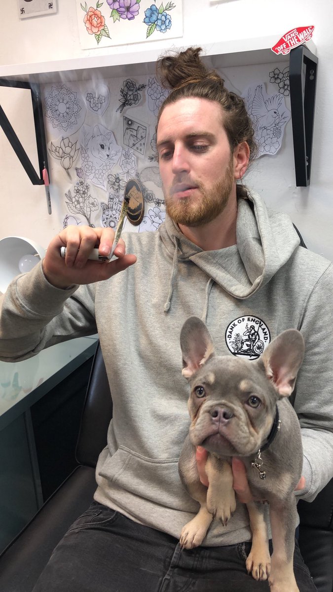 DANK_OF_ENGLAND's tweet image. 👌🏻💪🏻 @screechtree 👑 #DOEGANG 😤 #DOE 🌱💷🌱💷🌱💷 #DankOfEngland 🍁🇬🇧🌍