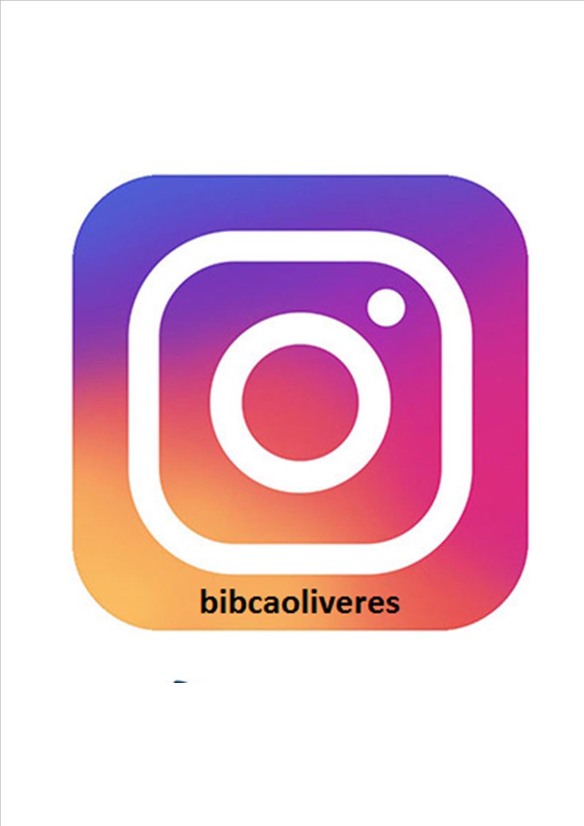 Biblio Ca l'Oliveres tweet media