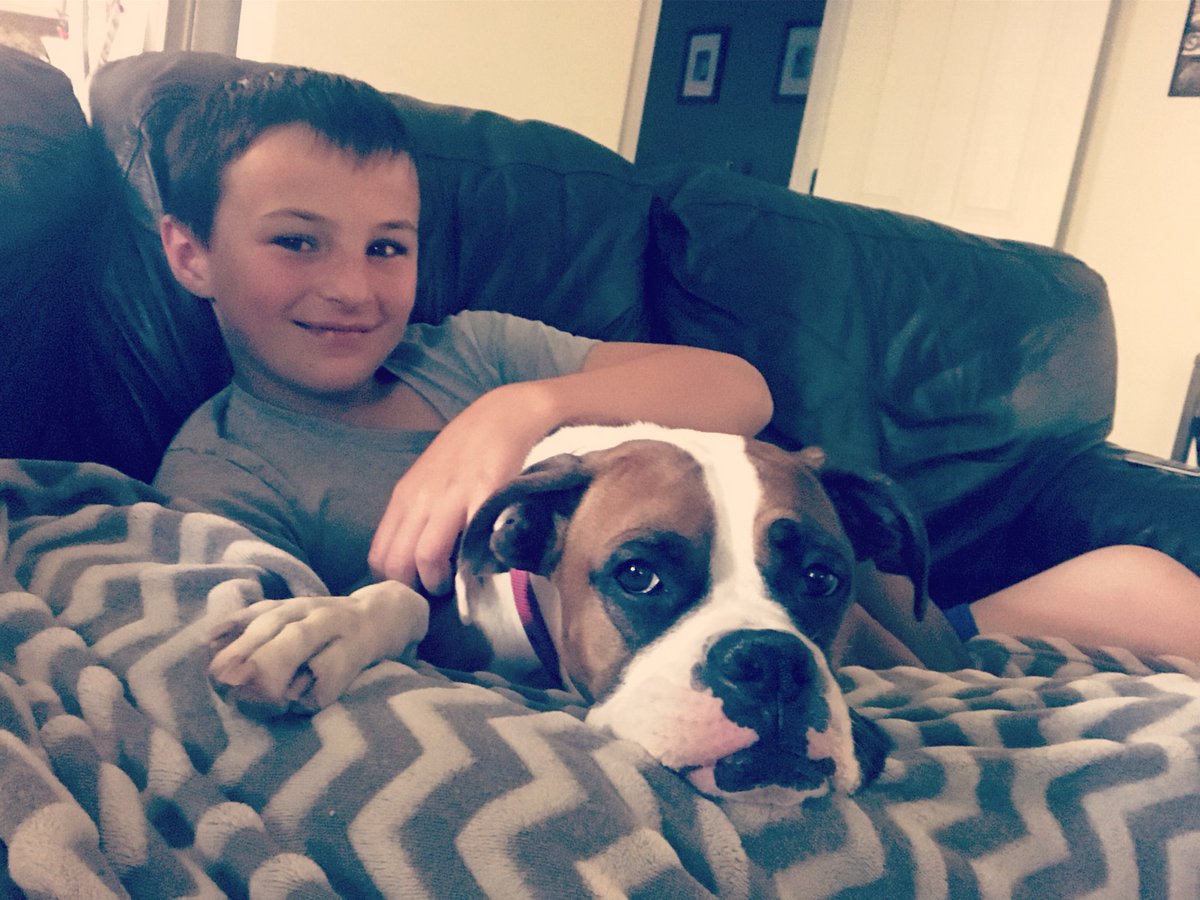 dmoongirl's tweet photo. Before becoming a parent, people should have to sign a contract promising to always allow their child, a dog. #BestFriends #LifeLessons #BeMoreLikeDogs #Love https://t.co/uQ23ls2NJ3