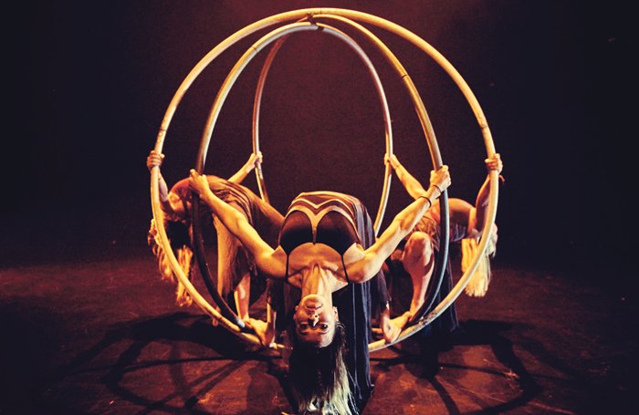 TheStage's tweet photo. Women in circus: ‘It’s about sisterhood and about pushing your female wildness’ @Mimbre_Acrobats @mettatheatre @RoundhouseLDN @upswingaerial  https://t.co/5JjaA8ypB3 https://t.co/DfBvJNRRPt