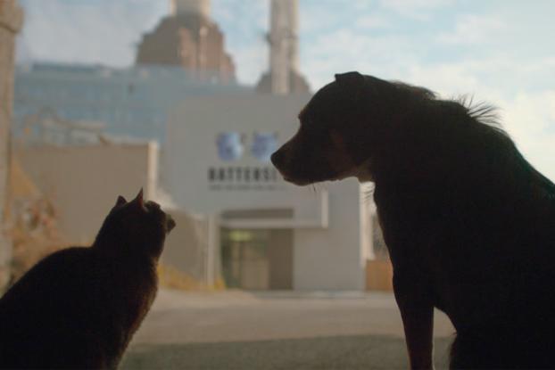 This April a few of K2's animal lovers will be spending their Friday night staying at the <a href="/Battersea_/">Battersea</a>  centre to help raise funds for the abandoned cats and dogs.  Visit our just giving page to find out more: hubs.ly/H0bCKLQ0
