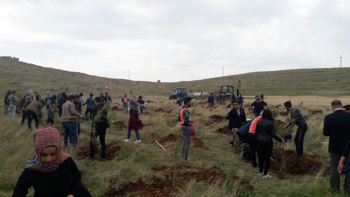 serhatirmak's tweet photo. #SaplingChallenge
küresel hedeflerden "İklim Eylemi'ni" yerelleştirmek için Mardin'de fidan dikiyoruz.Kurak kışları geride bırakmak ve temiz bir gelecekte yaşamak istiyor, size meydan okuyor ve 1 fidan dikmeye davet ediyoruz! @GlobalGoalsUN
#iklimeylemi #fidan #küreselhedefler https://t.co/VWKMem8Vvh