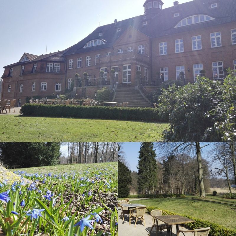 SchlssBasthorst's tweet photo. Endlich wird es Frühling in Basthorst. 😍😍
Das perfekte Wetter, um draußen einen Kaffee oder ein Eis zu genießen. https://t.co/d8k5ijhXiZ