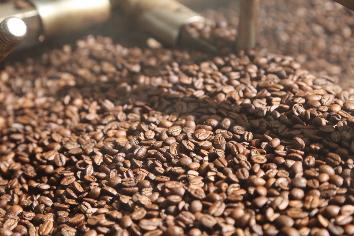Agricultura_mex's tweet photo. El café: bebida mundialmente popular
Los estados de Chiapas, Veracruz y Puebla destacan como principales productores. ☕️🇲🇽 https://t.co/WOoIBy4YUl https://t.co/tYgqSLwZSj
