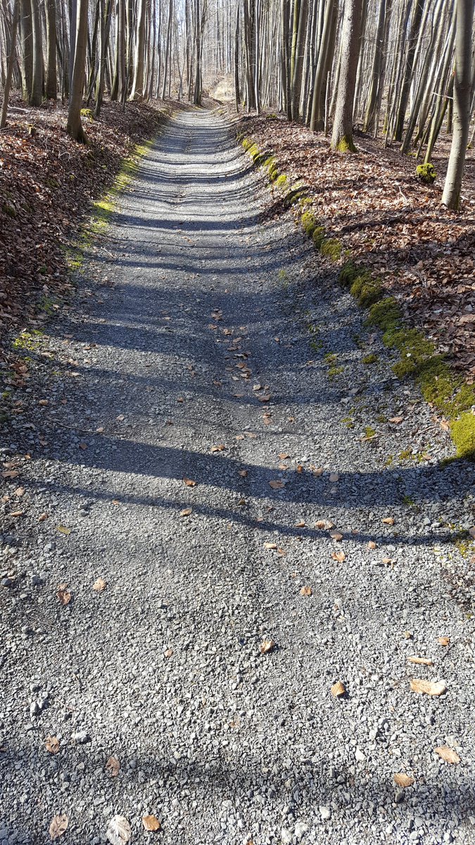 Barcode - eine Erfindung der Natur