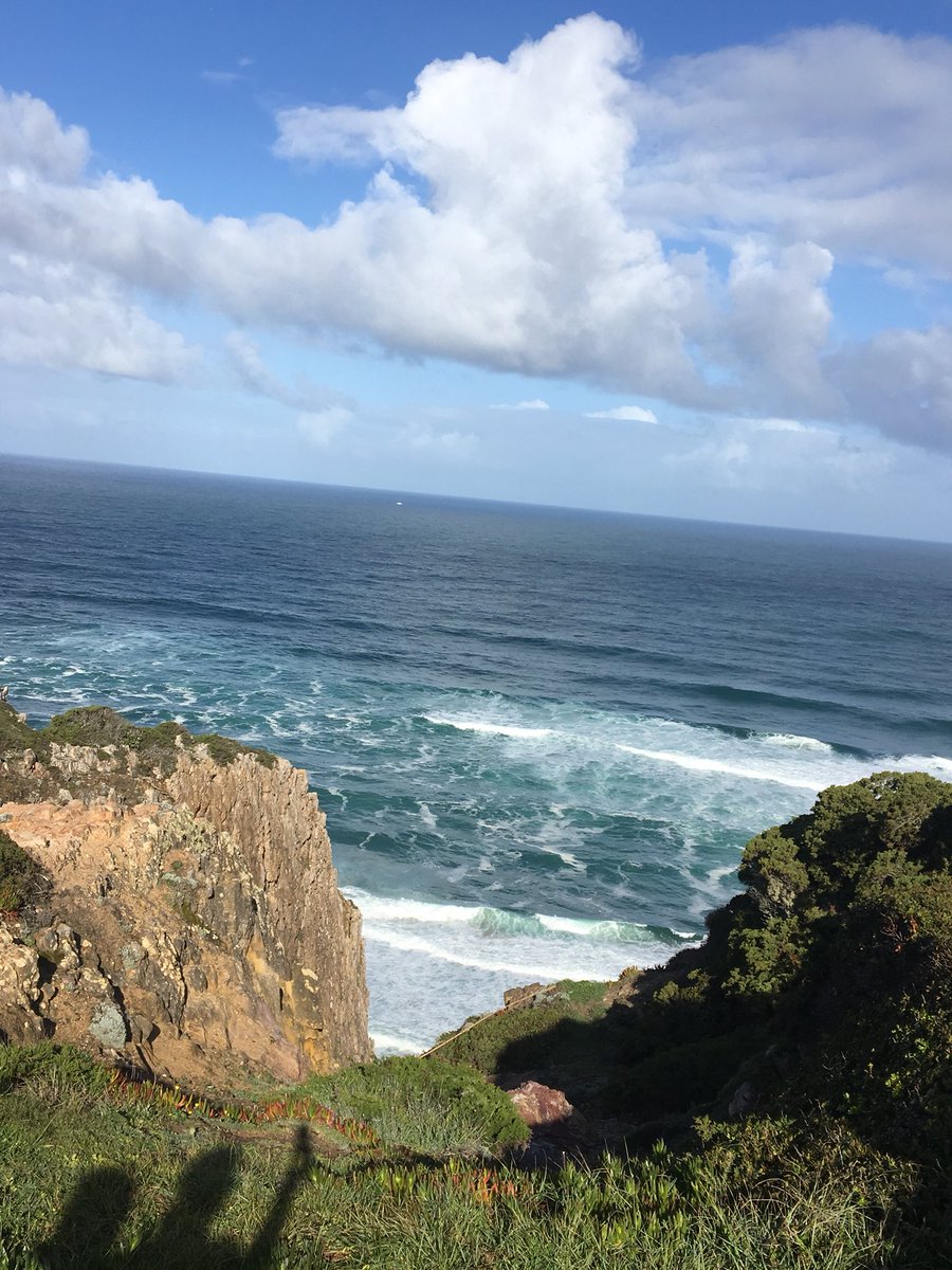 geskefiha's tweet photo. Fantastisk eksempel på lederudvikling der rykker. Nu i regi af @djoef 👣☀️#walktoexplorer 

https://t.co/6altAri2Mm https://t.co/fwU17hDUrM