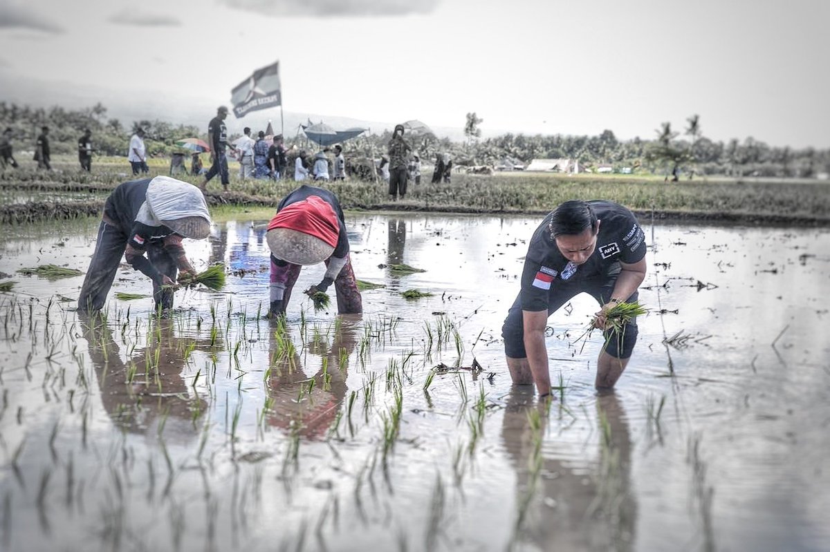 sampahberlirih's tweet photo. Mundur satu langkah, untuk sesuatu di masa depan yang membawa berkah.. #nandur #tanampadi cc : @AgusYudhoyono @Abaaah @zarazettirazr @hincapandjaitan  @LawanPoLitikJKW @panca66 @andiarief__ @SohibAHY https://t.co/HwnBWgUC4W