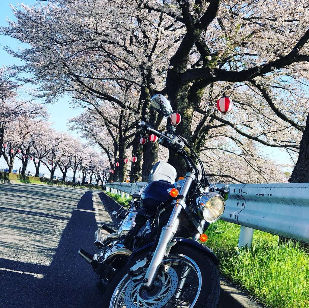 baikuakada's tweet photo. ドラッグスター 400cc
2012年式

カスタム
・スラッシュカットマフラー
不具合
・小サビ。タンク凹み。後輪交換時期です。車検切れ。

純正マフラー付
走る止まる問題なし

PCXと交換希望です。
#ドラッグスター #ドラッグスター400cc #交換希望 #PCX #売ります  #買います https://t.co/hzA30iuufl