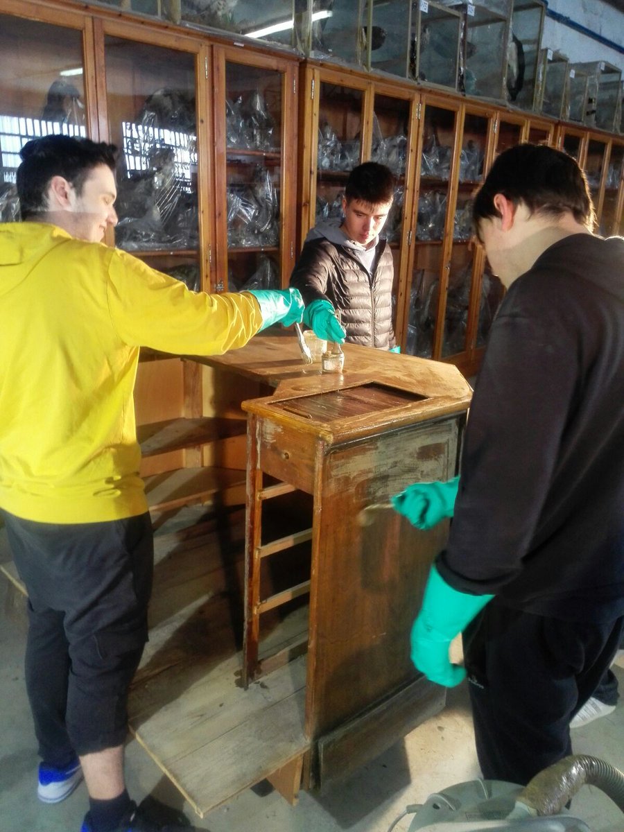 museudelter's tweet image. Cada dimarts els alumnes de @LaSalleManlleu ens ajuden a recuperar objectes de la nostra col·lecció. Bona feina! #ProjecteFaig #AprenentatgeServei #ApS #Manlleu