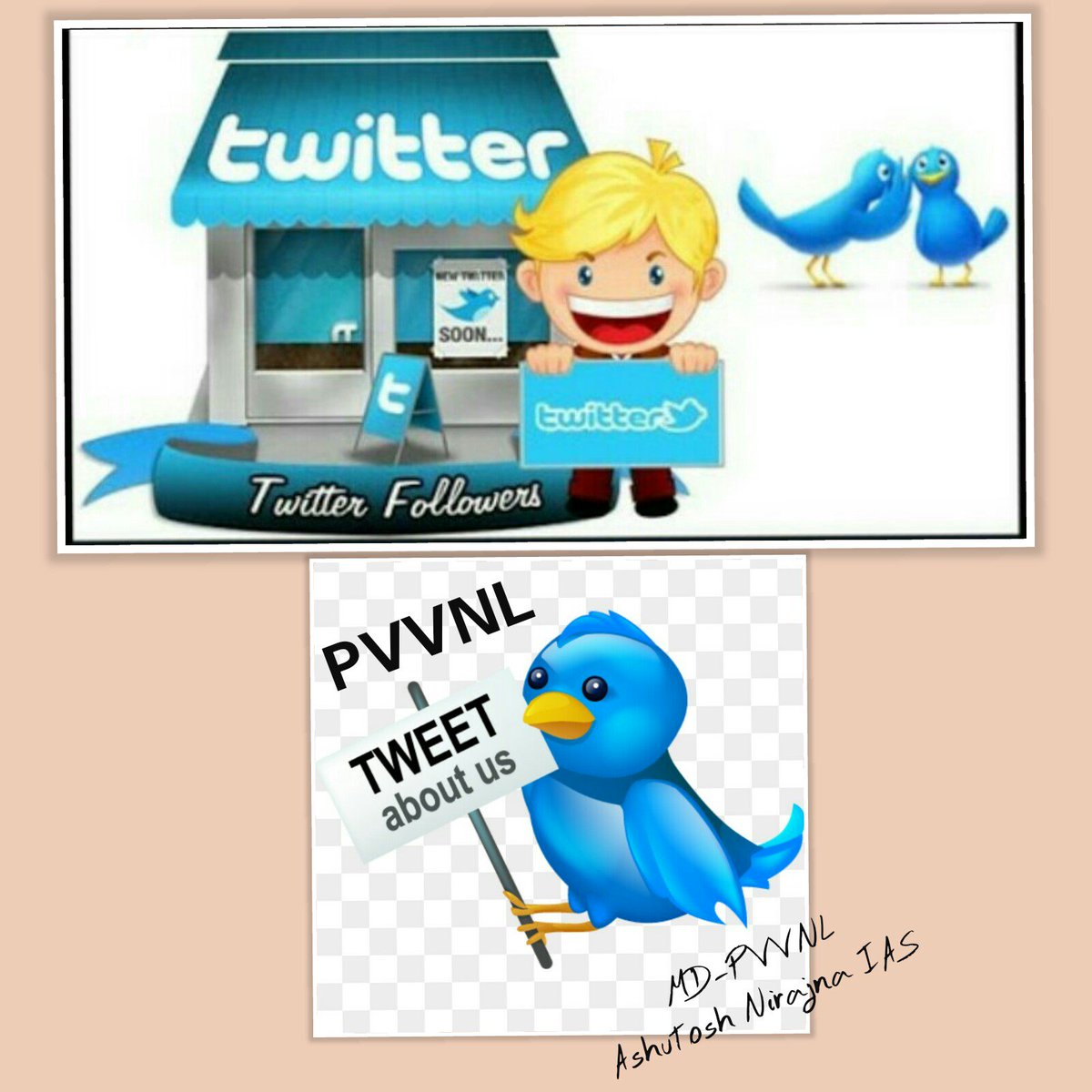 MD Pvvnl tweet media