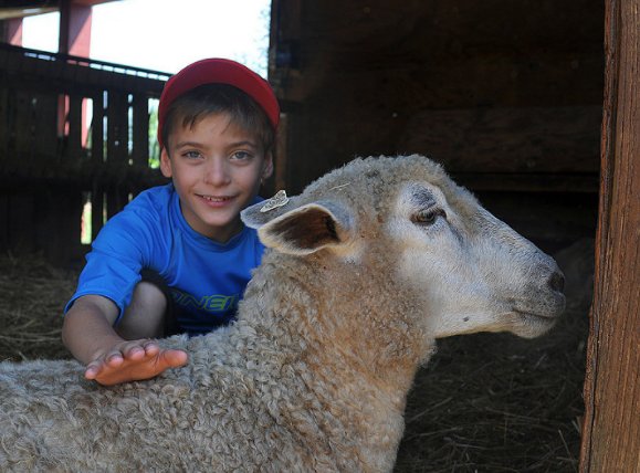 Happy National Farm Animal Day, Poughkeepsie!