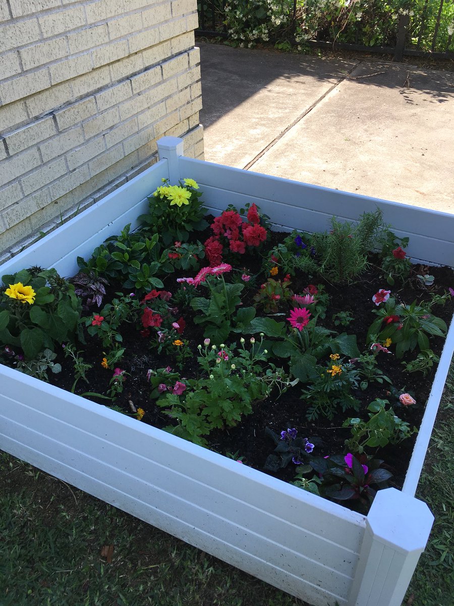 msgonzalesmde's tweet photo. Spring planting in PK. #pk @MDEJJordan #mdelem @sbisd_science https://t.co/lAssoEgXms