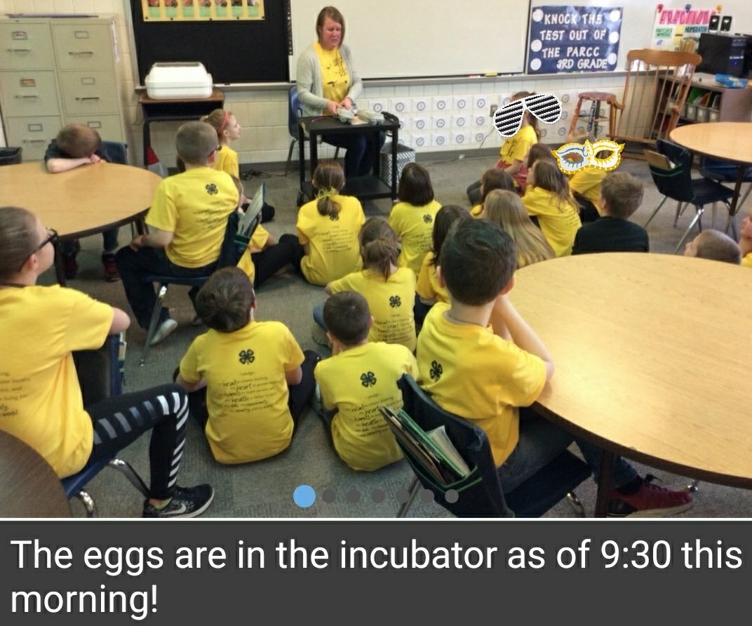 JenSchweigert's tweet photo. I โค technology & having the ability to follow my youngest while at school. The class finished putting the last egg into the incubator abt an hr ago! How many days until there are chicks?? #chickitout @Illinois4H #embryology https://t.co/hpKQlwiWAe