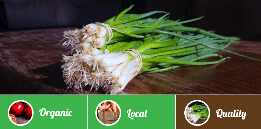 BuyLocalNB's tweet photo. Live near #GrandFalls, #NB? Visit the #HarvestAcresfarm for your choice of fresh #organic veggies grown by your #local #nbfarmer! Learn more --> https://t.co/10wqAeMj3g https://t.co/pOwbxtS62b