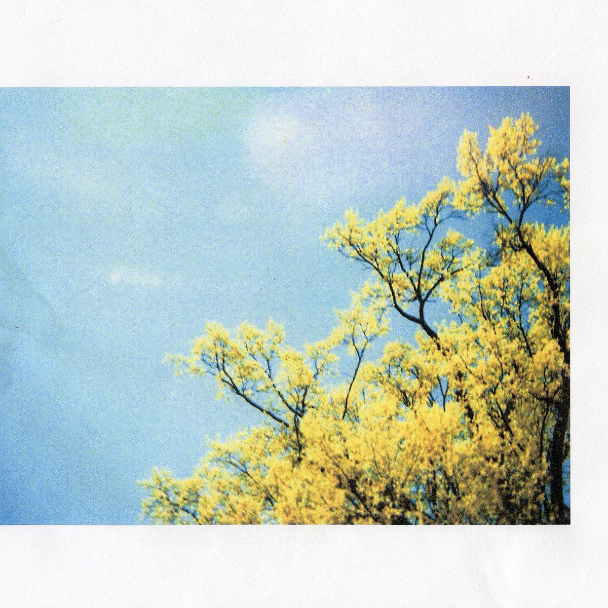 I am very excited to announce I am releasing a new album in a couple weeks, on the 20th. It's called "am i happy, singing_" &amp; it's very dear to me. That title might be familiar to some, for good reason, so I'd like to detail a few important things about this record - see below.