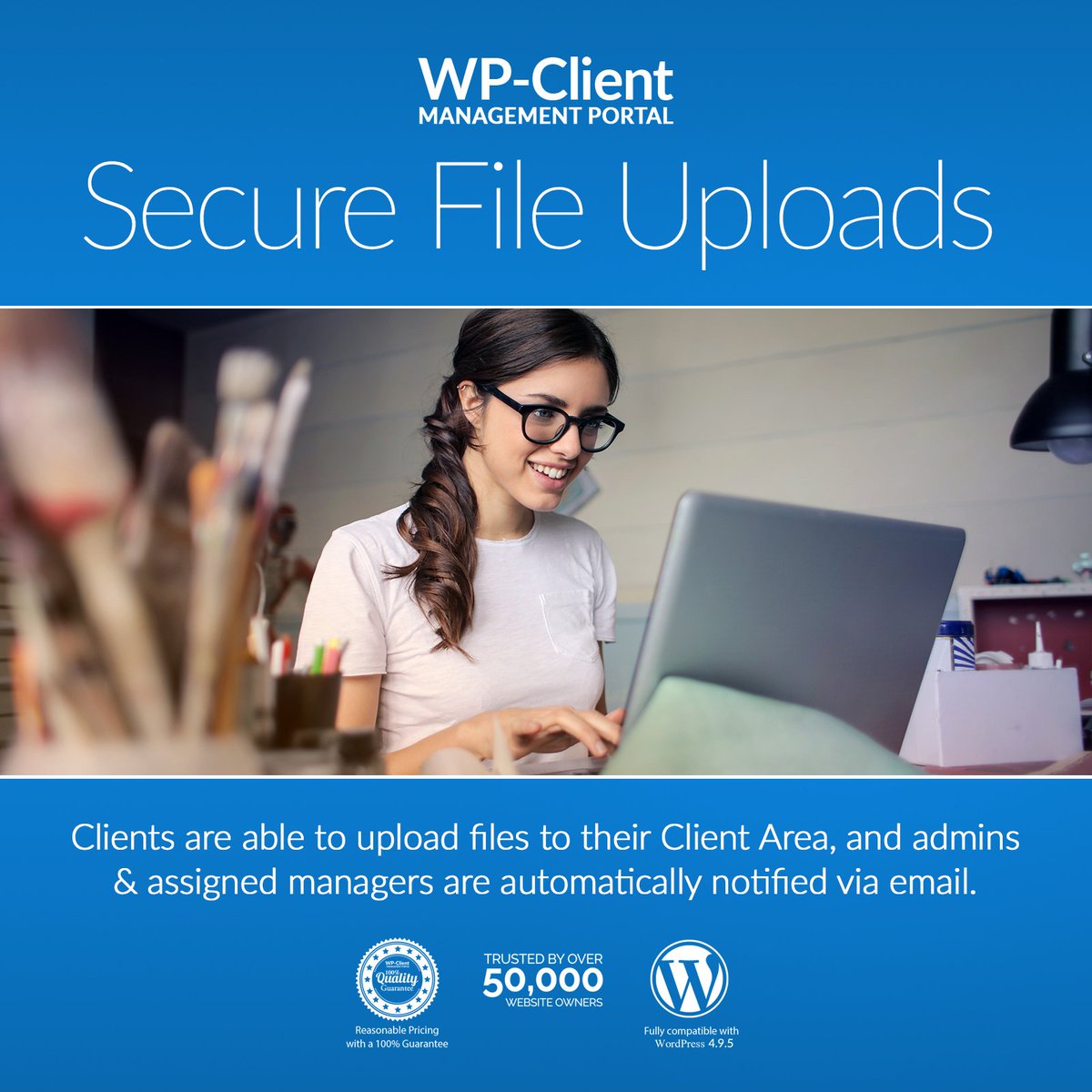 wpclient tweet picture