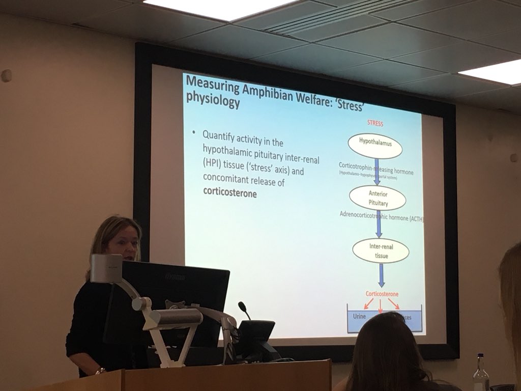 achazhardenberg's tweet photo. Last but not least, Tessa Smith @BioSciChester tells us about her research on non-invasive monitoring of stress in amphibians in the field  #SmallPop2018 https://t.co/nyMdioHJhS