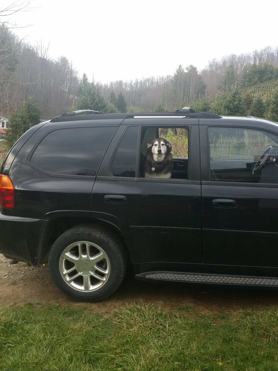 I knew I left something in the truck  ;  )