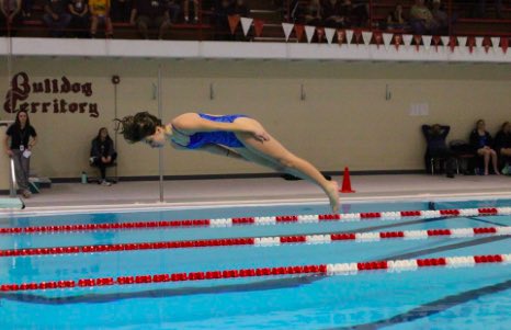 madirielly's tweet photo. I am proud to say that I have verbally committed to CSU-P Swim and Dive team for diving and I'm glad to continue my diving career and my academic career at CSU-P! 🐺❤️ https://t.co/YTIIzvsRiU