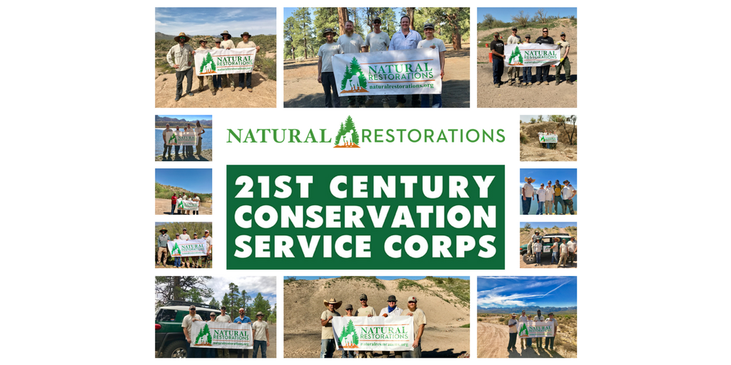 NTRLRestoration's tweet image. We are proud to announce Natural Restorations is a 21CSC Member Organization with the Partnership for the 21st Century Conservation Service Corps!⠀To learn more visit: naturalrestorations.org/21csc/
#21CSC