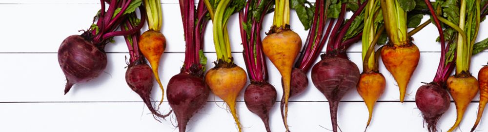 botmaker1969's tweet photo. You can't beet this guide. https://t.co/V5HhfOFdxC https://t.co/Y2VAupOeKG At the new OddFellows, it's "You got your