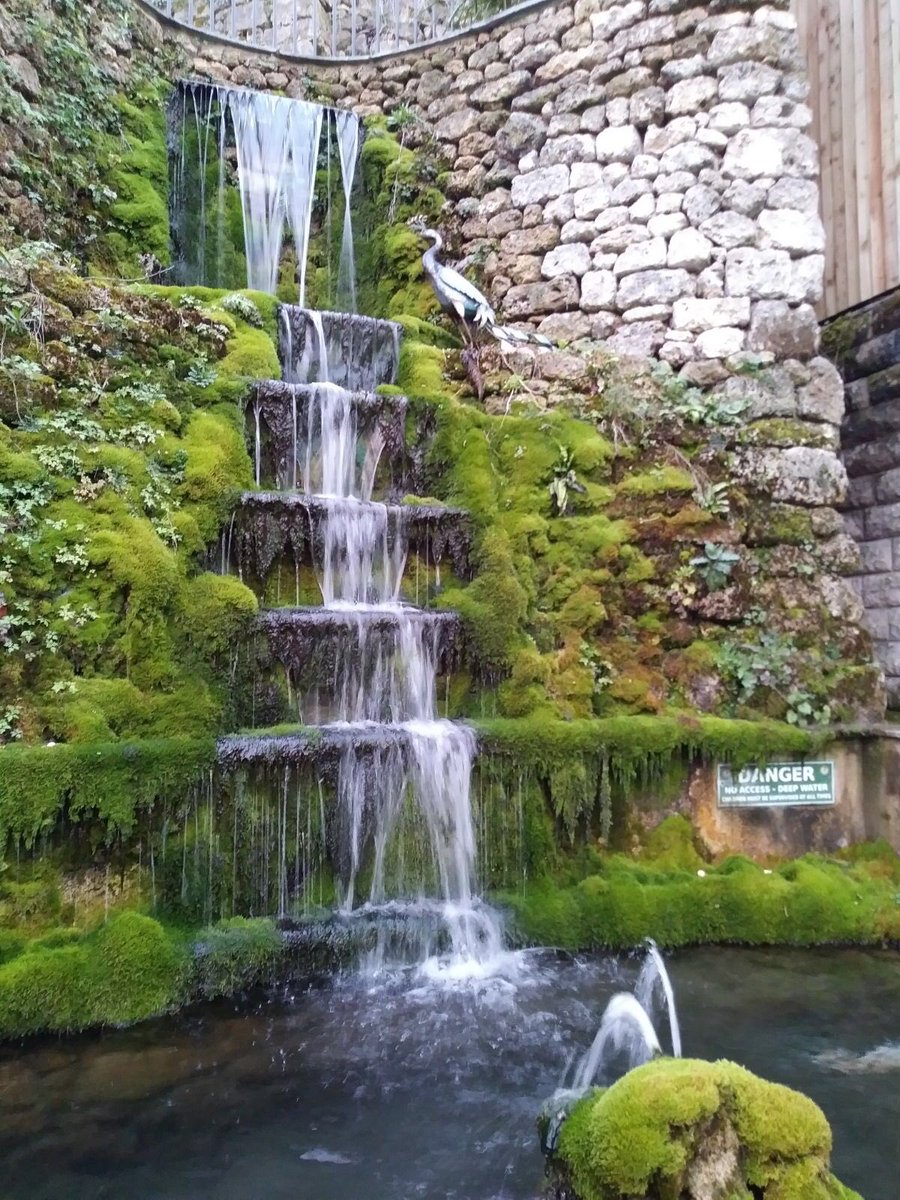 Matlock_PI's tweet image. Fantastic night out with all the team well done team Matlock on winning most improved hotel you are all amazing keep up the great work #mostinproved @jmb0606 @omarkhan7861 @SDEBDD