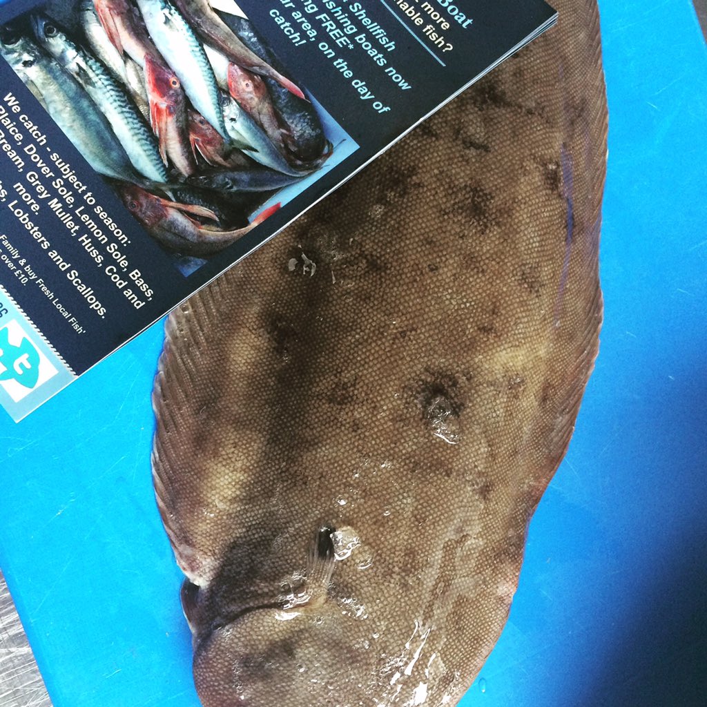 FreshFromBoat's tweet photo. Some beautiful fish starting to show this week! Thursday at @TuppennyBarn I’m hopeful for some beautiful Brill, Huss, Plaice, Skate and more.... #emsworth #havant #local #freshfish https://t.co/TYytf3MRei