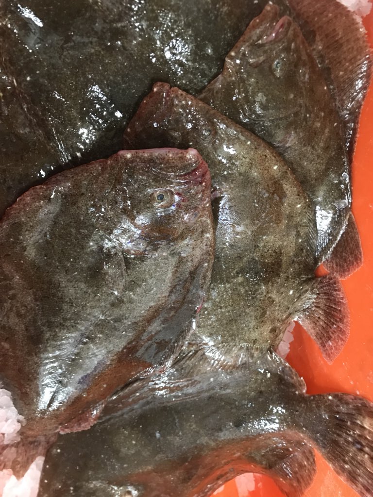 FreshFromBoat's tweet photo. Some beautiful fish starting to show this week! Thursday at @TuppennyBarn I’m hopeful for some beautiful Brill, Huss, Plaice, Skate and more.... #emsworth #havant #local #freshfish https://t.co/TYytf3MRei