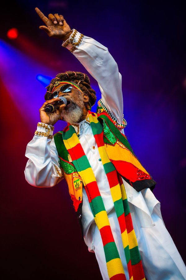 Happy birthday bunny wailer 