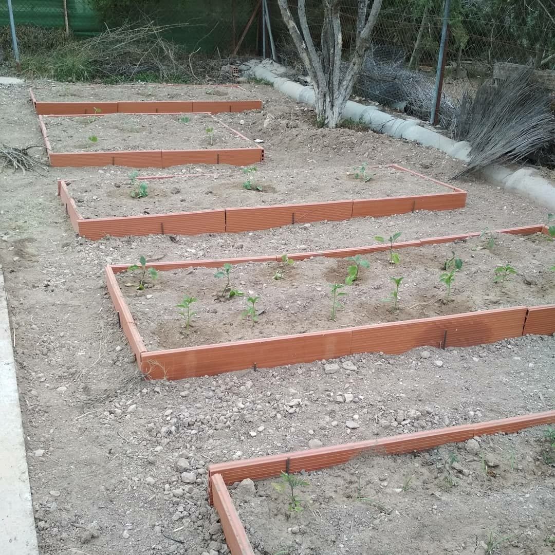TheWhiteCuckoo's tweet photo. to garden - trabajar en el huerto
I like to garden. Sometimes, I garden so much that the result is almost unrecognisable!
#ENtérateSpain #English #inglés #garden https://t.co/GNcSKfzMp1