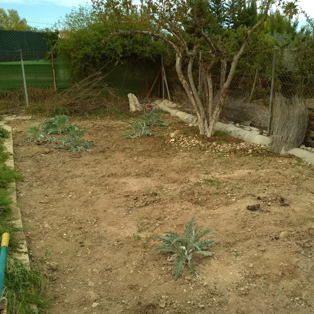 TheWhiteCuckoo's tweet photo. to garden - trabajar en el huerto
I like to garden. Sometimes, I garden so much that the result is almost unrecognisable!
#ENtérateSpain #English #inglés #garden https://t.co/GNcSKfzMp1