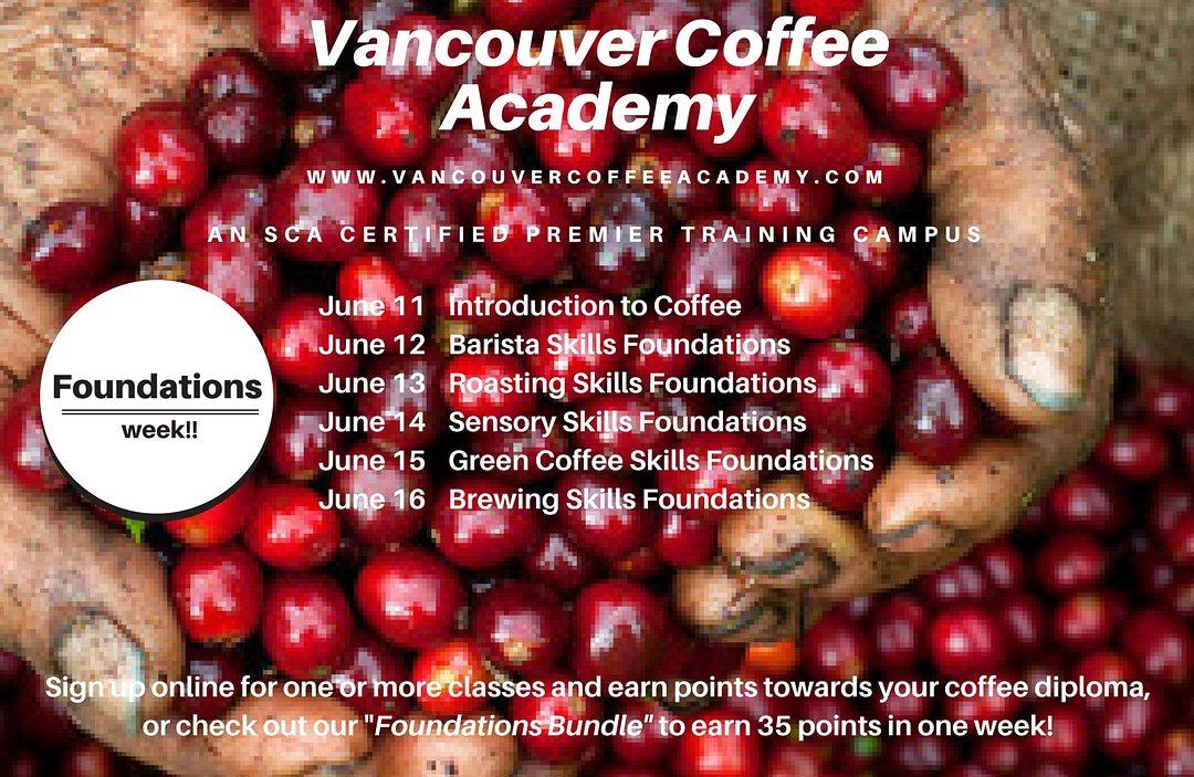 Big month of classes in June, will post more later today. #vca #vancouvercoffeeacademy #vancouvercoffee #vancouverroaster #scalab