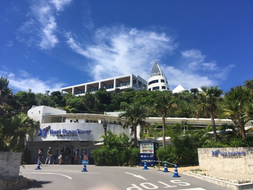 FemoraleShells's tweet image. Shell Museum, Kouri Ocean Tower, Okinawa, youtube.com/watch?v=hqaLsV… #Okinawa #Kouri #ShellMuseum #mollusc #marinelife #naturalhistory #Japan #gastropod #bivalve