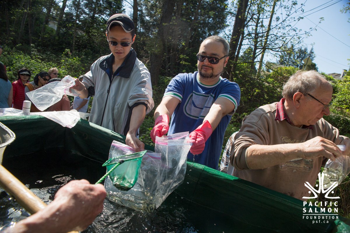 PACIFIC SALMON FOUNDATION tweet media