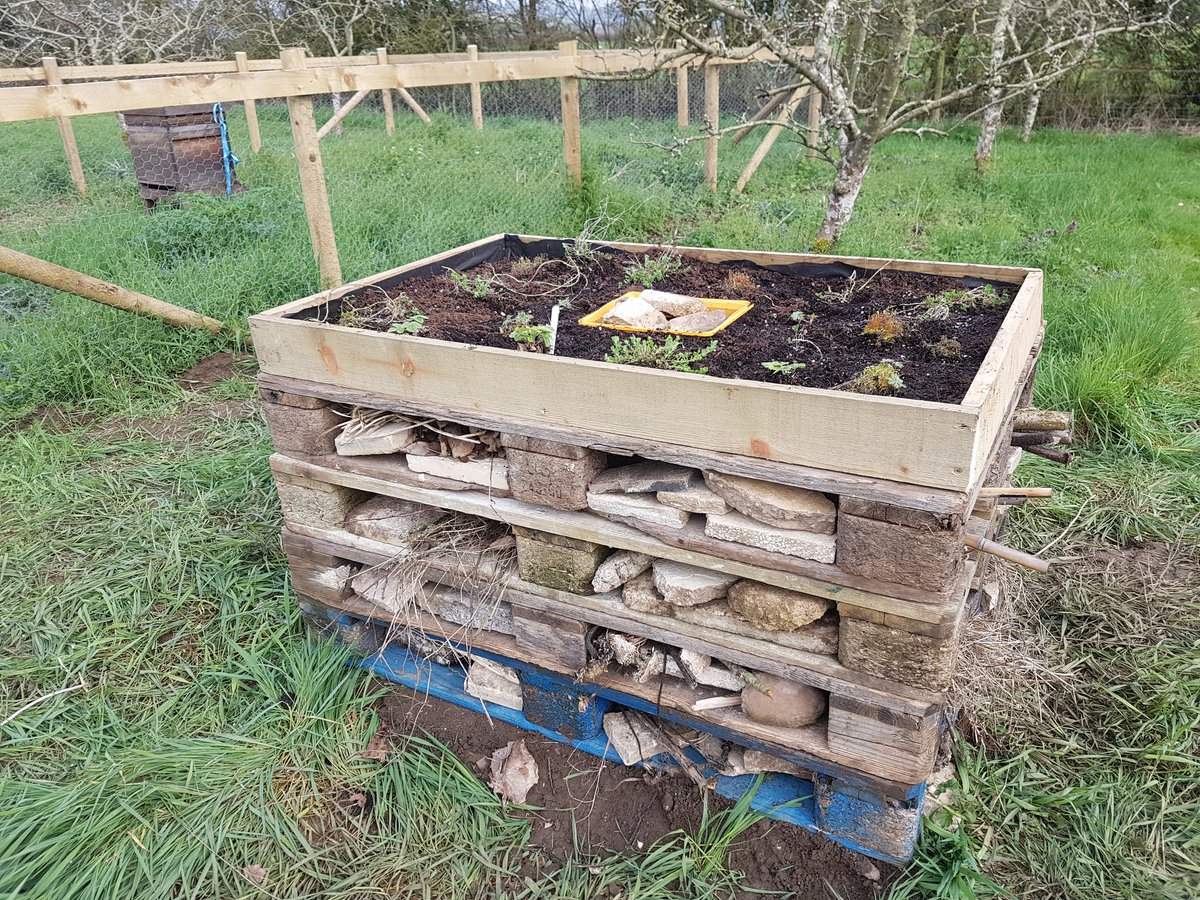 growandsow's tweet photo. With thanks to @WiltsWildlife volunteers we now have a new bug hotel next to our bee garden, complete with a mini pond for thirsty visiting invertebrates #growandsow #Rowde @Hftonline https://t.co/kOlTyay6lM
