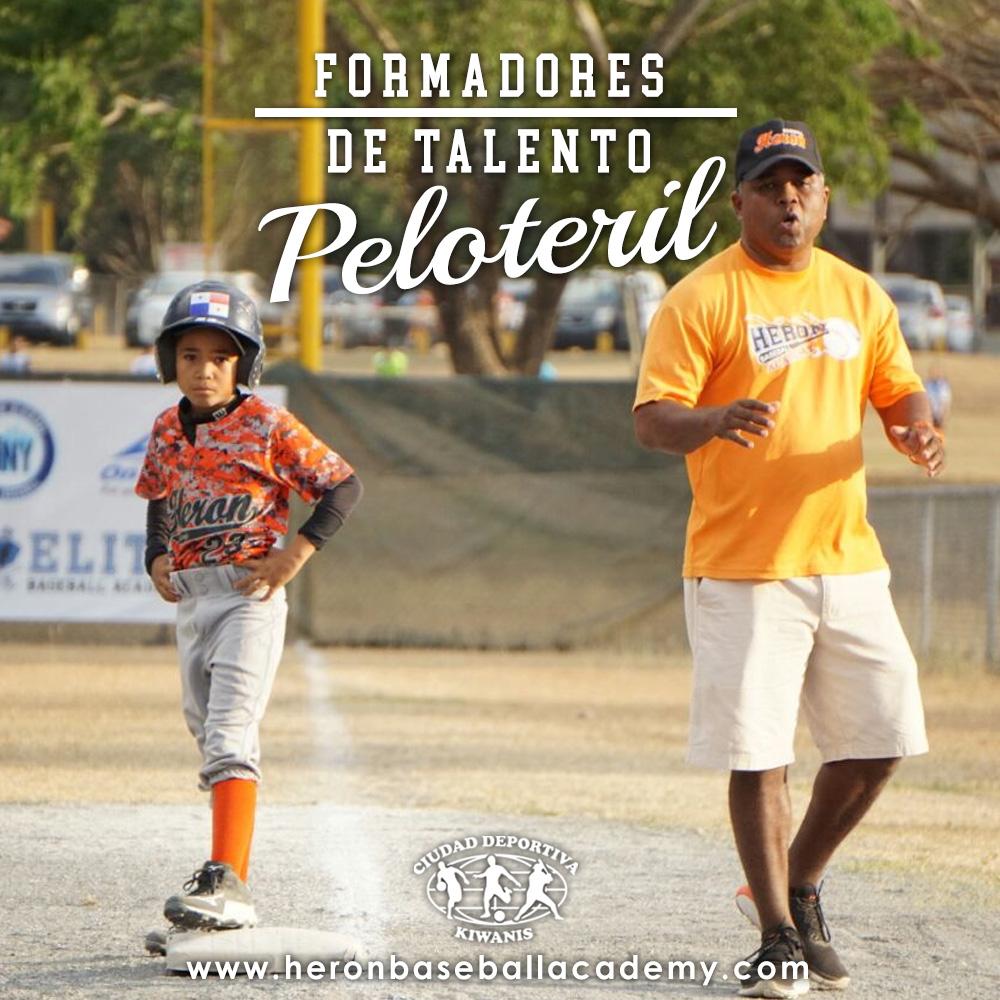 heronbaseballacademy tweet media