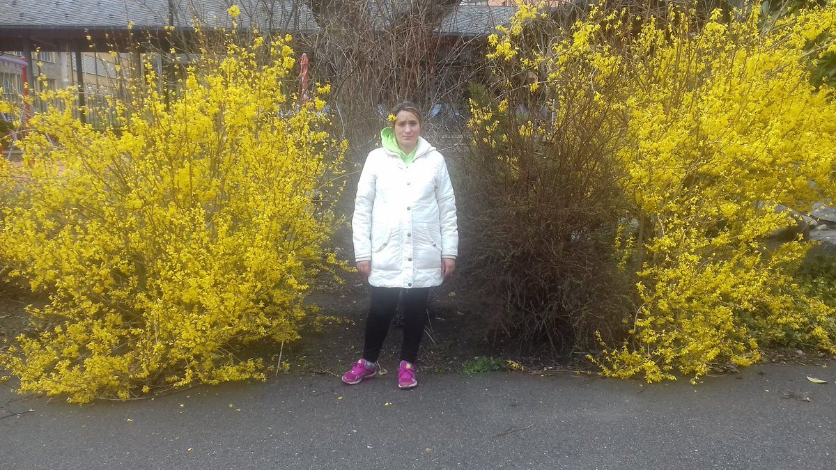 EmiliaDaCosta3's tweet photo. La primavera   arribat    amb   la  color  groc , con es la naturaleza       .anen  demanar ka llibertat per  el presos politics i per els CDR      visca a llibertat https://t.co/DLQNGjg00m