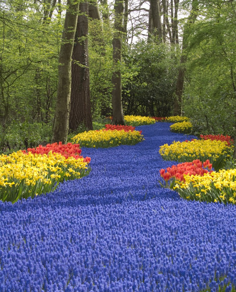 Maybe spring will finally arrive and burst into its full glory...and not snow again.