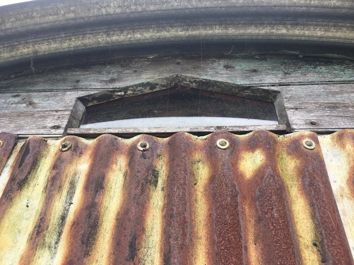 The Real Boar tweet media