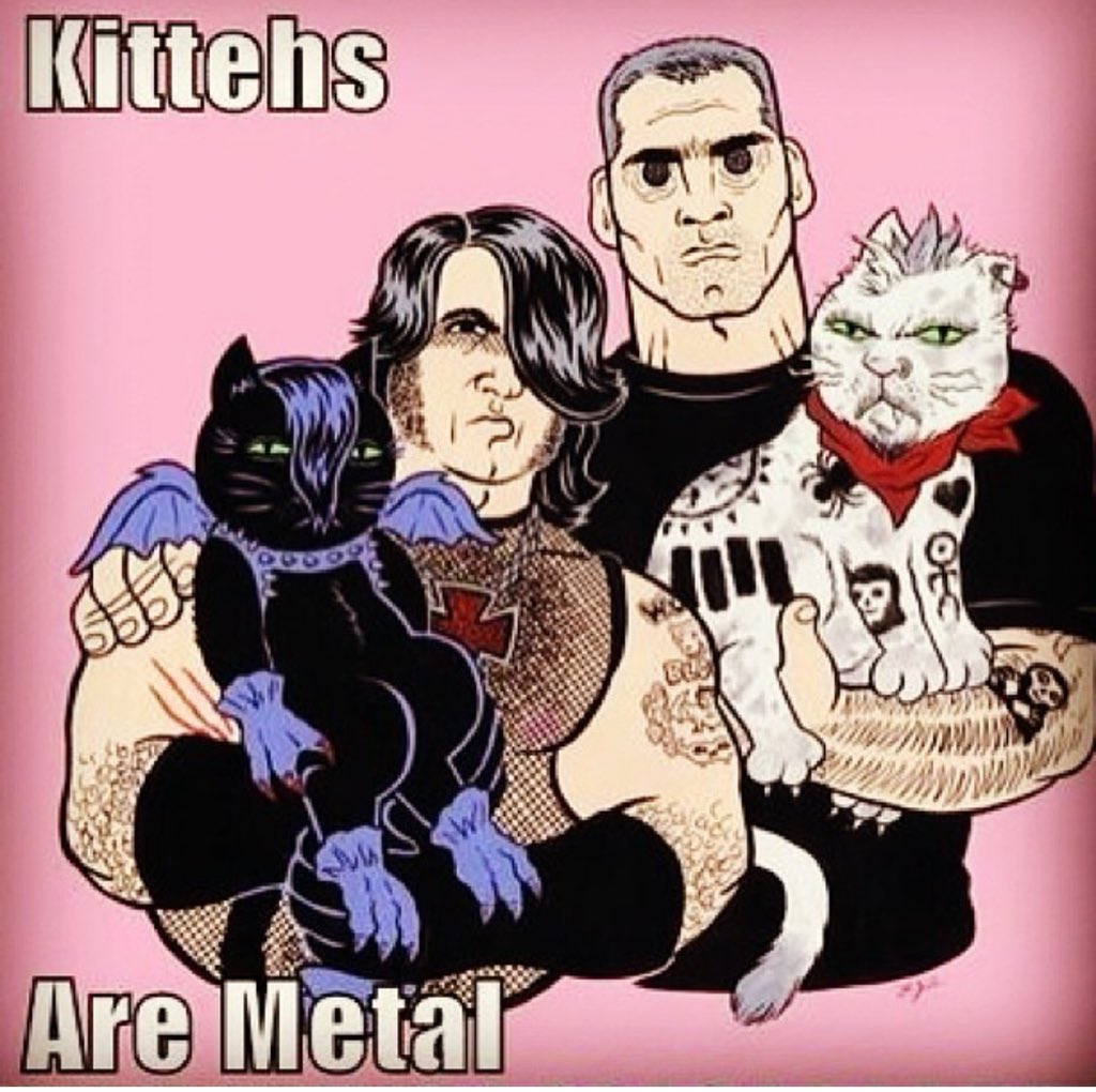 switchblade515's tweet photo. And punk ..show us yours and we will show you ours #sbcult #danzig #henryrollins #horrorpunk #misfits #switchbladesaturdays #kittehs https://t.co/bKJ0frnHwk