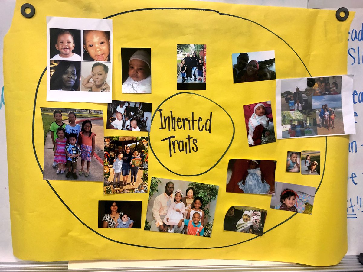 MsHolmesClass tweet picture
