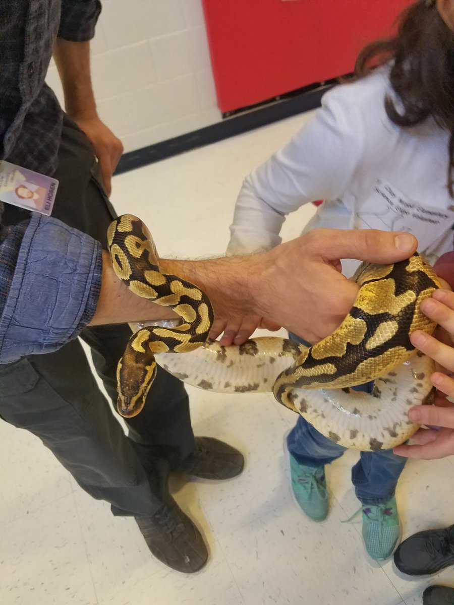 KarolaScarce's tweet image. You need to be at T. Clay Wood STEAM night! #SpringTwitterChallenge #TimberwolvesRock @AndrewBuchheit