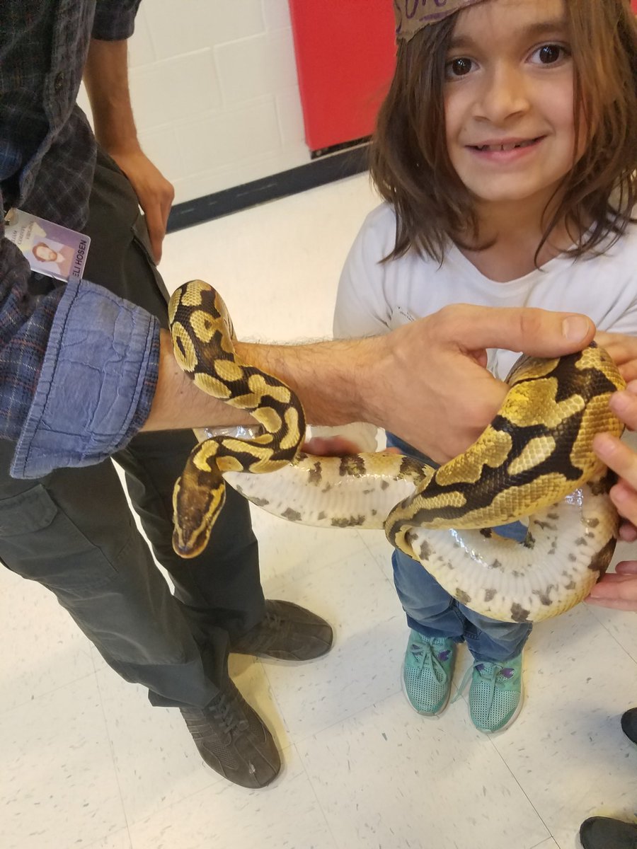 KarolaScarce's tweet image. You need to be at T. Clay Wood STEAM night! #SpringTwitterChallenge #TimberwolvesRock @AndrewBuchheit