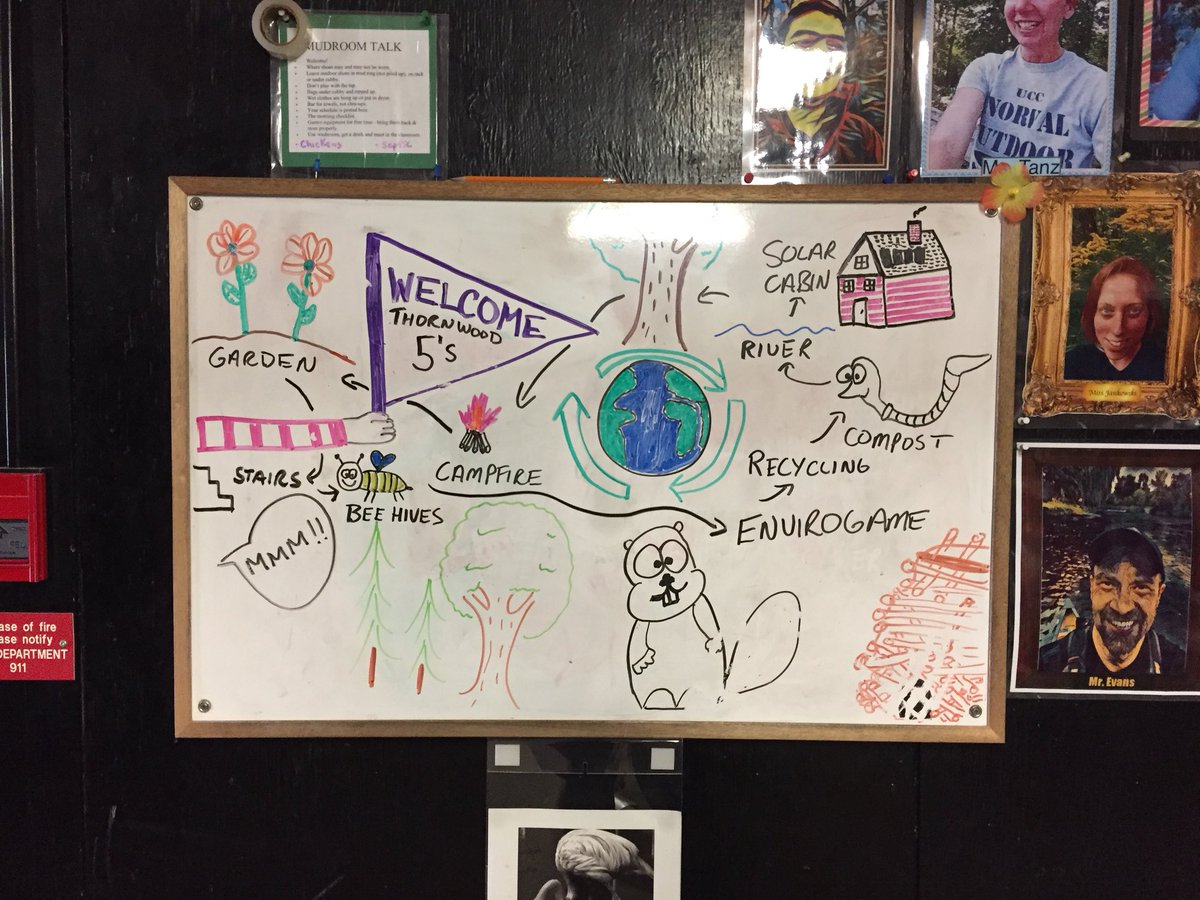 Kelly Donnelly tweet media