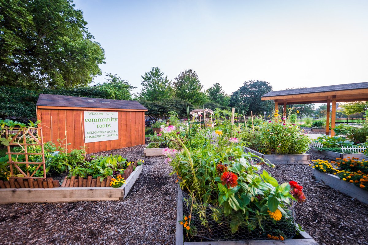 landmarkWL's tweet photo. Getting our green 👍 ready for summer with potted herbs from @tomatomountain. Registration is also open for plots @ the Skinner Park Community #Garden 3 blocks west of Landmark. See the @chicagoparkdistrict site for more info!
#urbanagriculture #csa #chicagolife #westloop https://t.co/D5QQeSWUgi