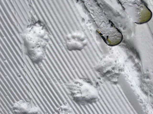 rewinterpark tweet picture