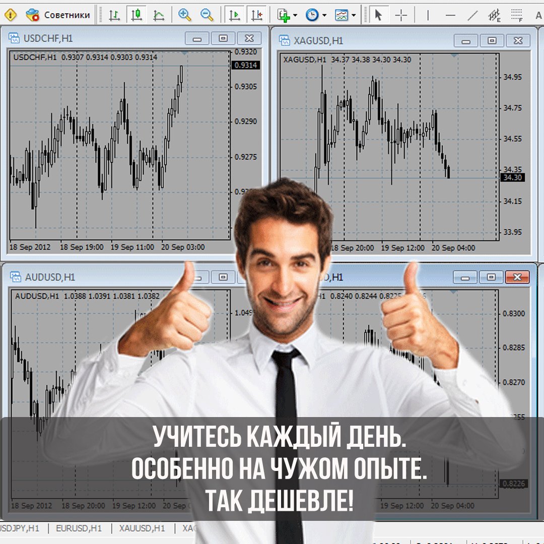 search for forex brokers